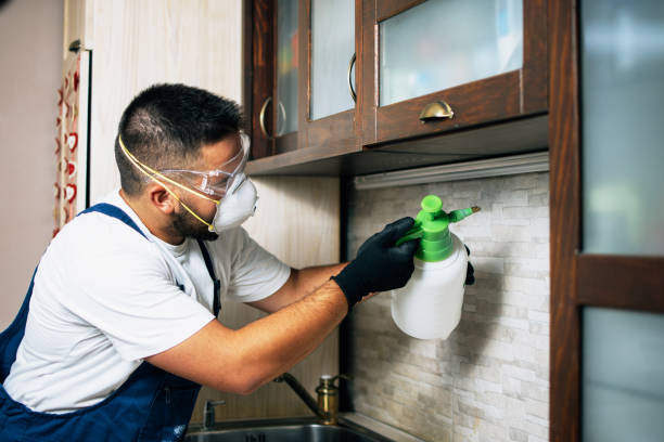 Best Local Pest Control Services  in Roslyn, PA