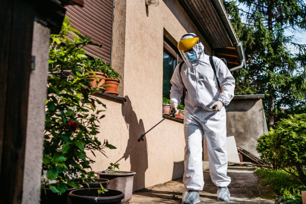 Best Rat Extermination Near Me  in Roslyn, PA