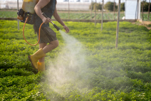 Best Affordable Pest Control Services  in Roslyn, PA