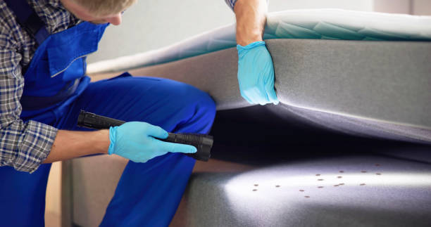 Pest Control Cost in Roslyn, PA
