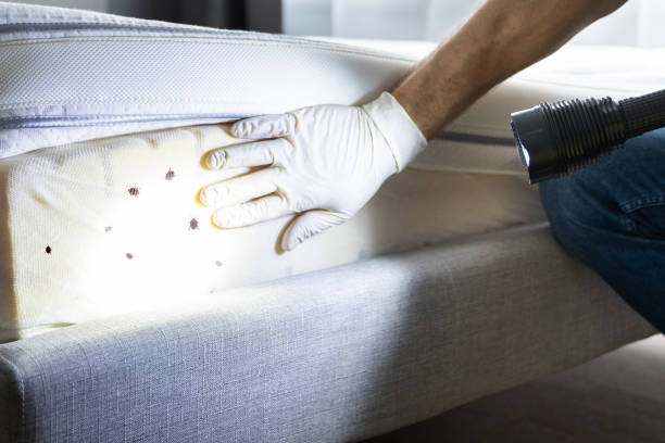 Best Residential Pest Control  in Roslyn, PA