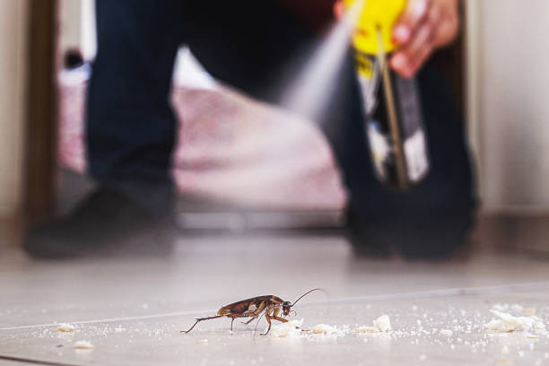Best Commercial Pest Control Services  in Roslyn, PA