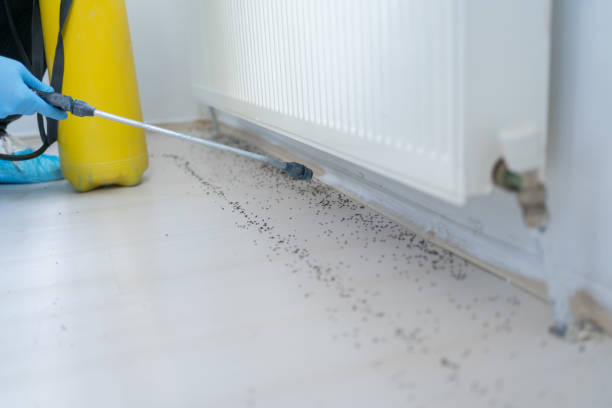 Best Pest Prevention Services  in Roslyn, PA
