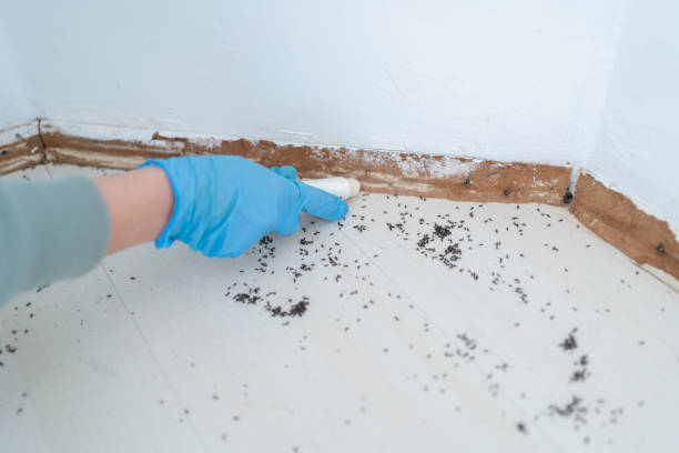 Best Affordable Pest Control Services  in Roslyn, PA